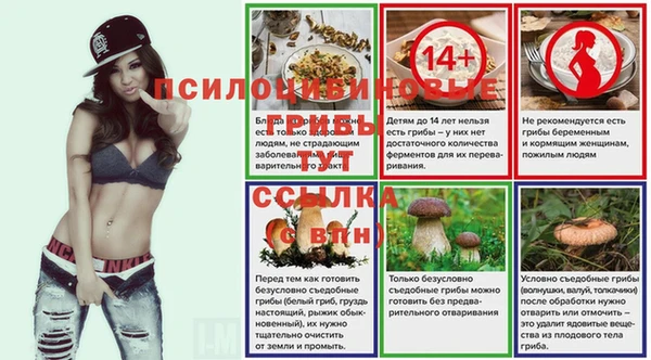 ешки Арсеньев