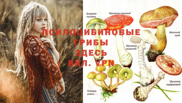мдпв Армянск